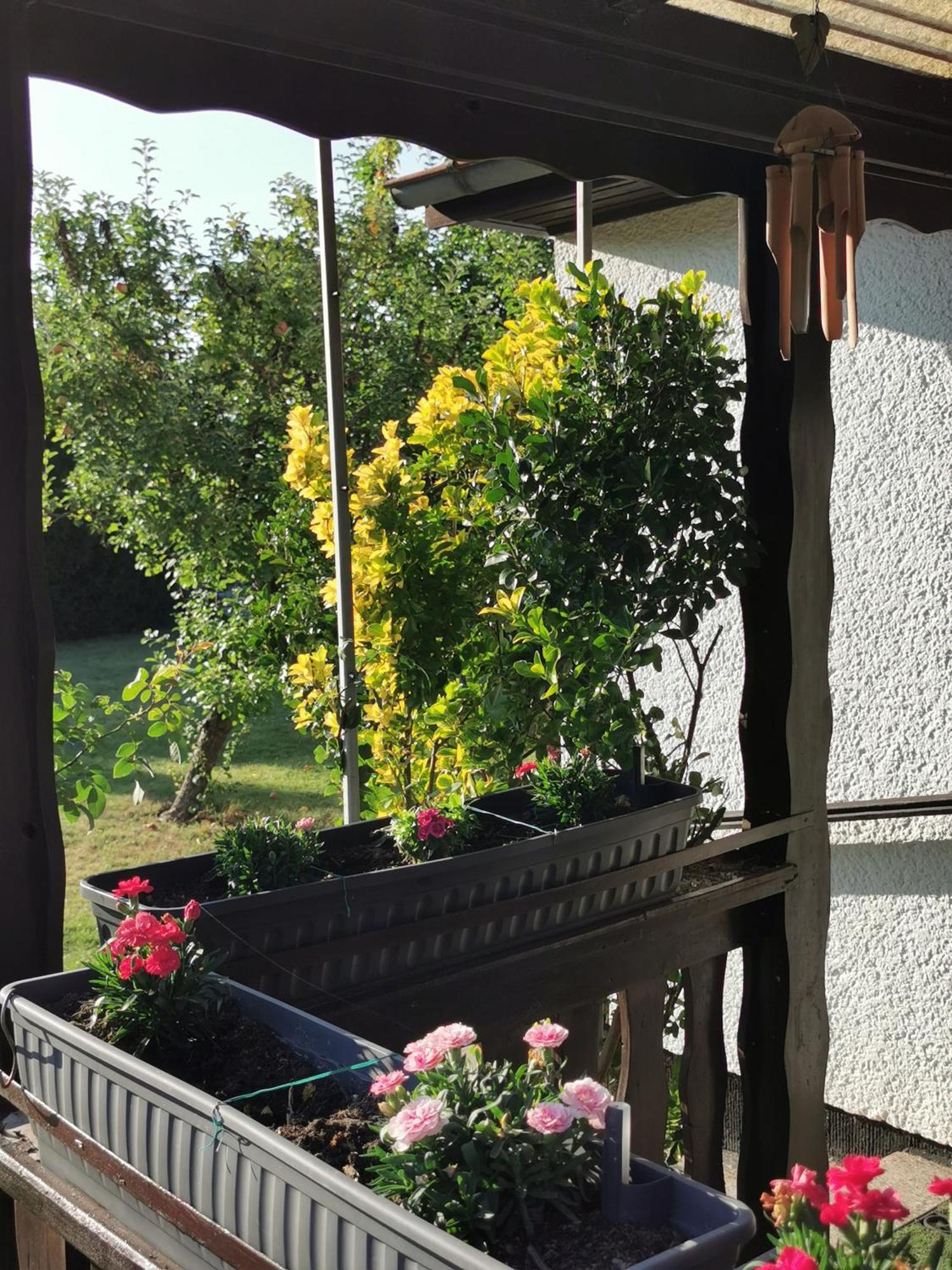 'am Rosenhag' Ferienhaus *
