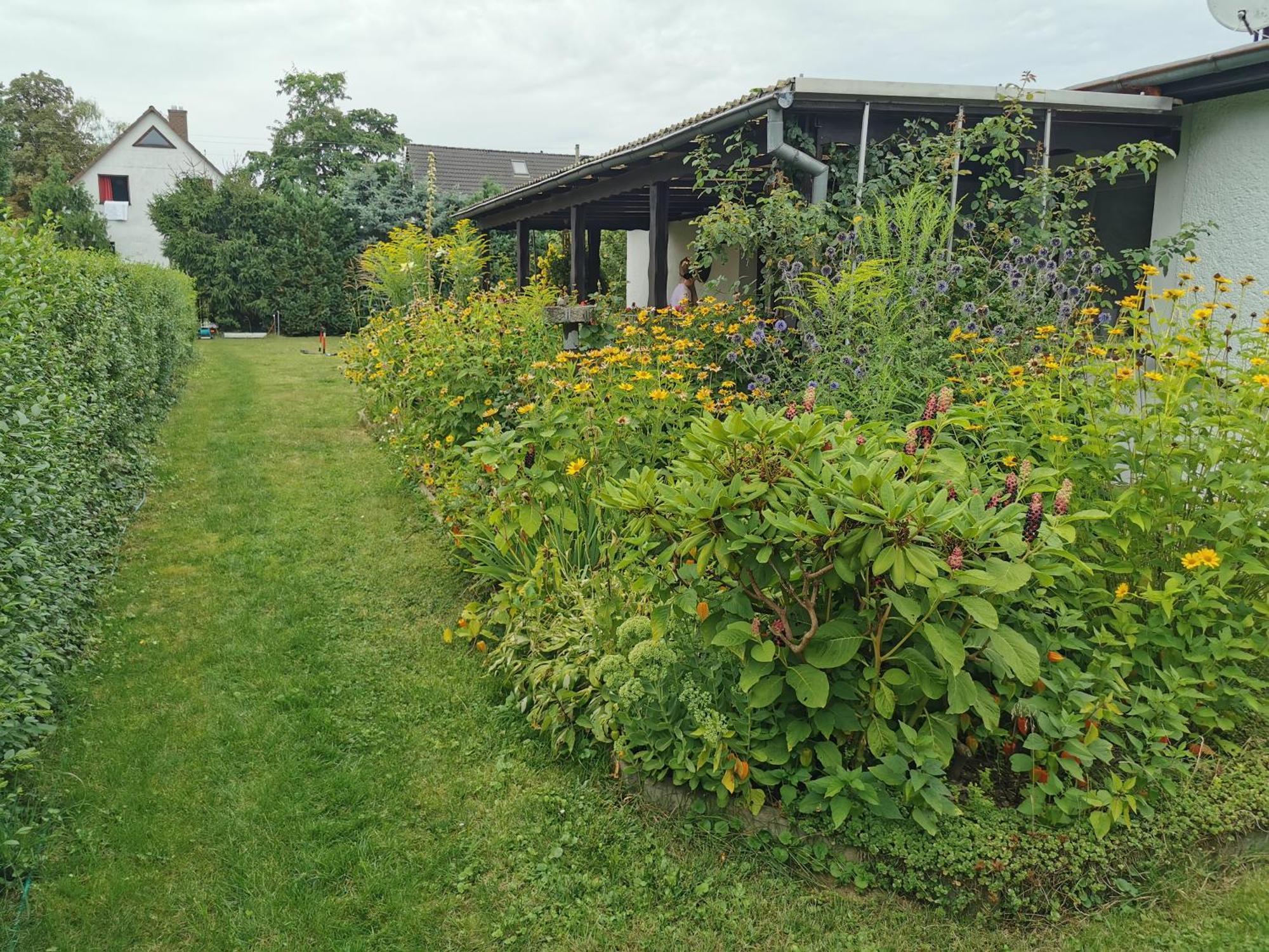 Holiday home 'am Rosenhag'